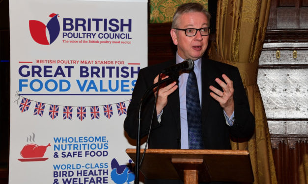 Welcome Michael Gove’s commitment to British food